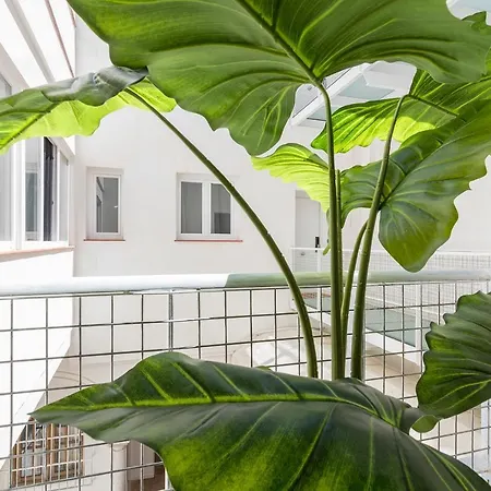 Apartamento Dona Blanca Centro Diseno Minimalista Jerez de la Frontera